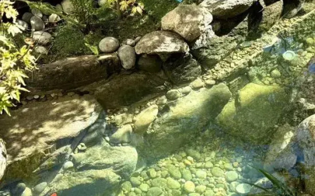 Dali Fengyi Hefeng Homestay