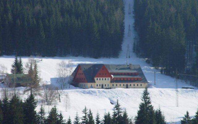 Hotel Alpina