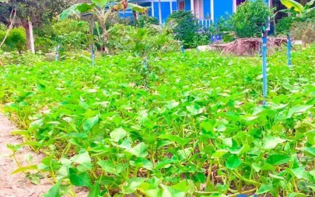 Baan seefa homestay kohyaoyai