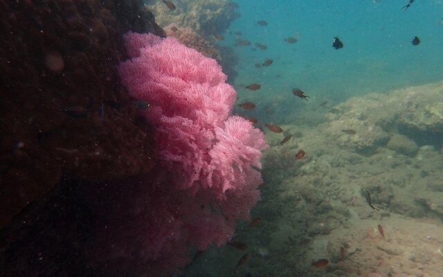 The Moken Eco Village