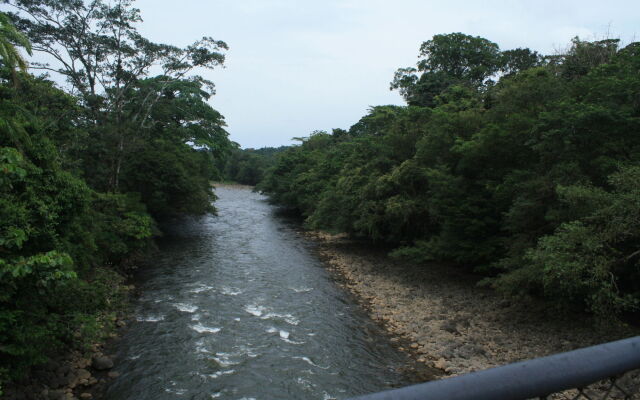 Tirimbina Rainforest Lodge