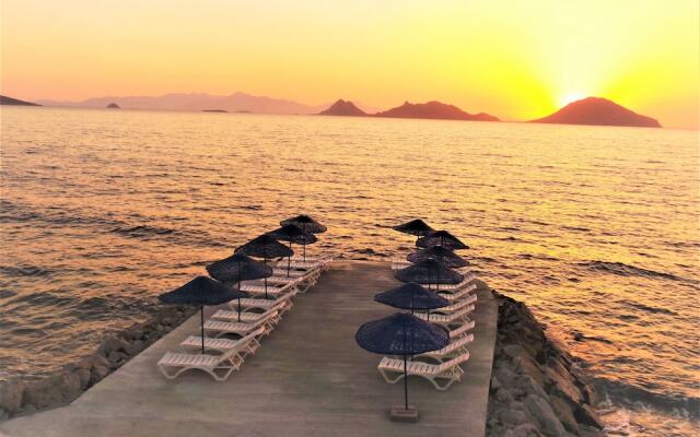 Sunset Mavi