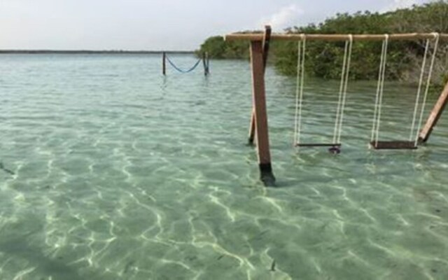 Eco Friendly Cabin Complex by Playa Paradise