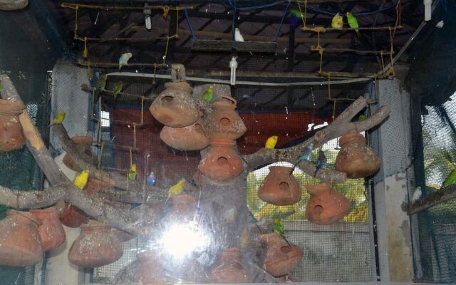 Hotel Dolphin - Bhakkhali