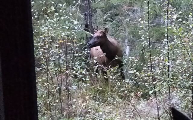 The Cabin at Moon Dance