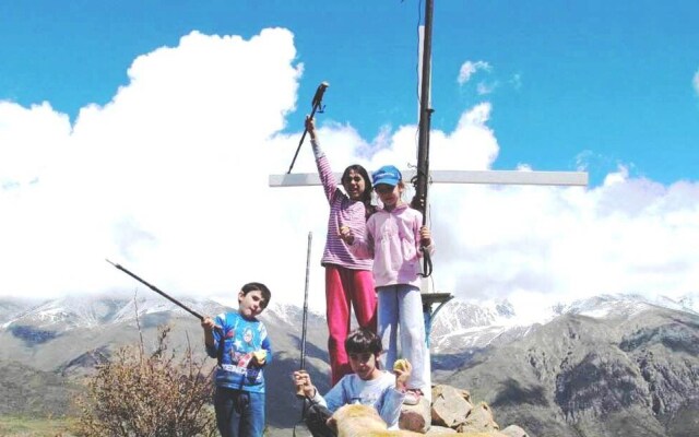 Los Coirones