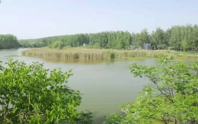 Greentree Inn Bozhou Lixin District Huishang Market