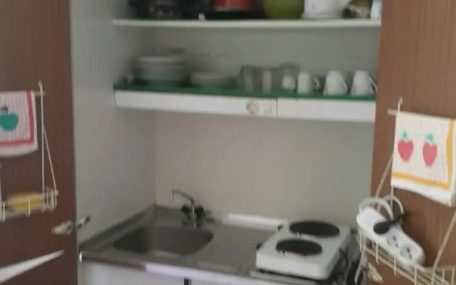 Apartments Andjus