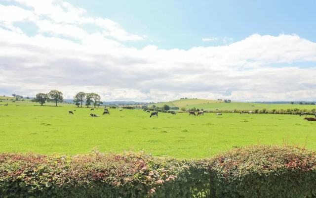 Plot 32