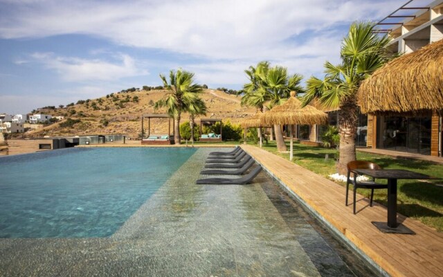 Comfy Villa With Shared Pool and Gym in Milas