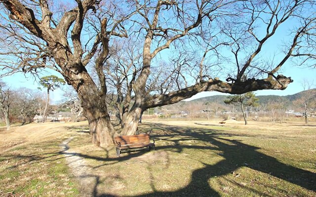 Gyeongju KB Pension
