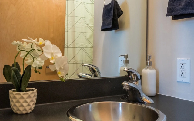 Large Open Apartments Near Ballpark Village