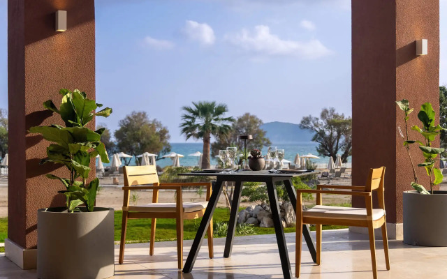 Domes Aulus Zante, Autograph Collection