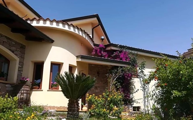 B&B Ottoulivi