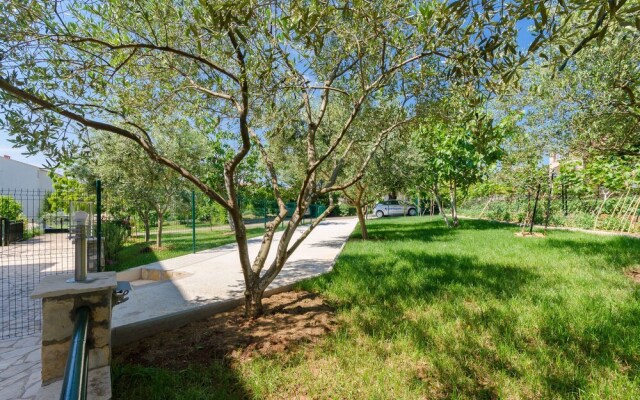 Apartments Dragutin