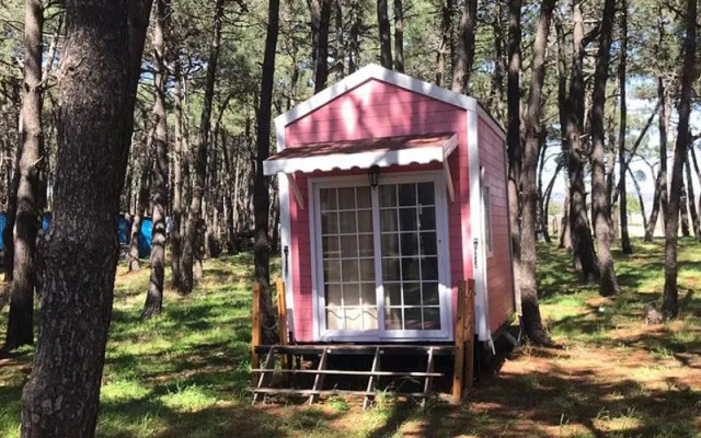 Erikli Plummy Glamping