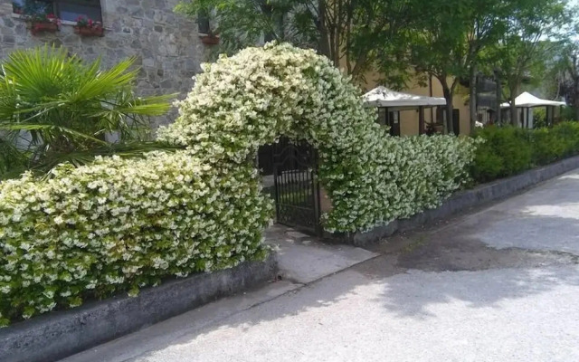 Agriturismo La Locanda del Gallo