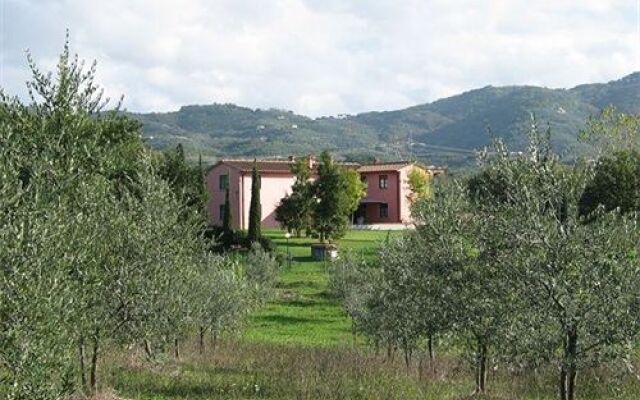 Tenuta Il Vallone