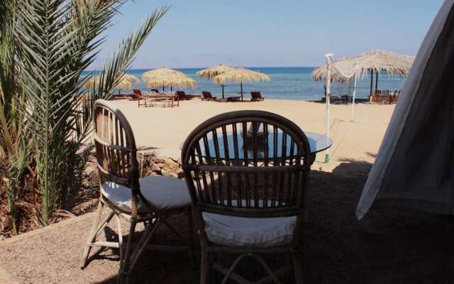 Nuweiba Lodge