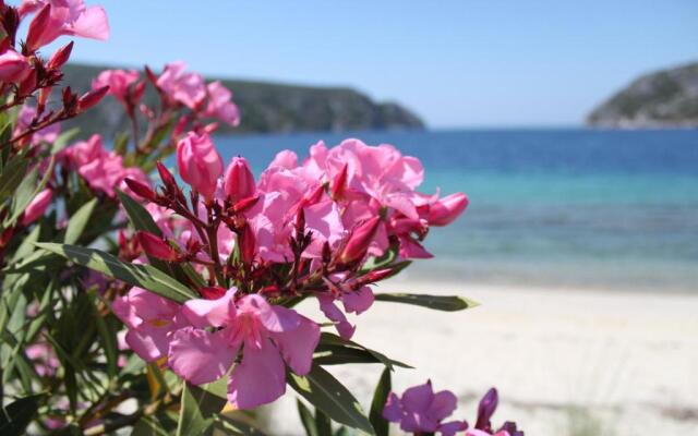 Kassiopea home by the sea 2