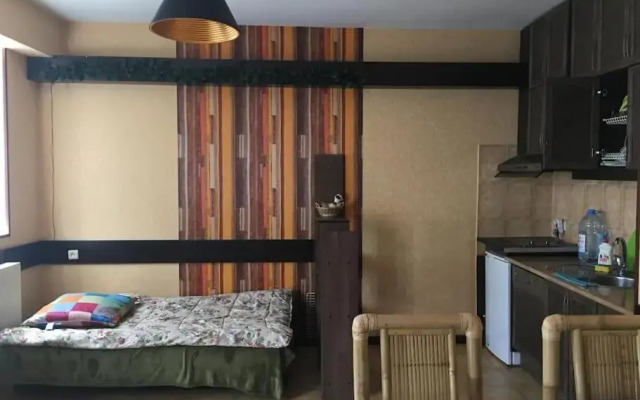 Amazing flat in Gudauri, 5 minutes walk to slopes!