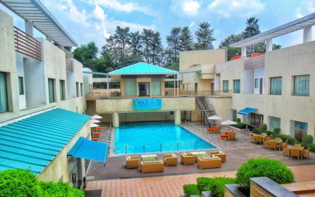Golden Tulip