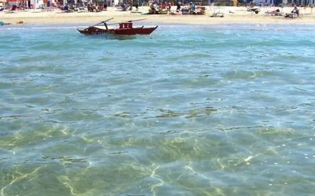Appartamento nel Verde sul Mare