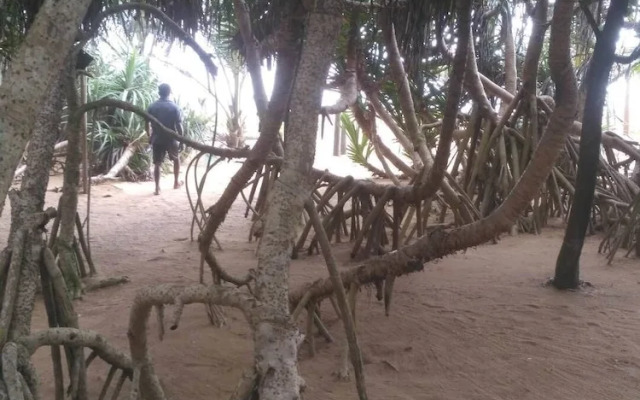Ravana Beach Cabanas