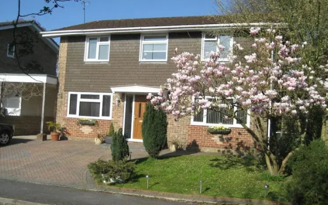 Oak Tree House