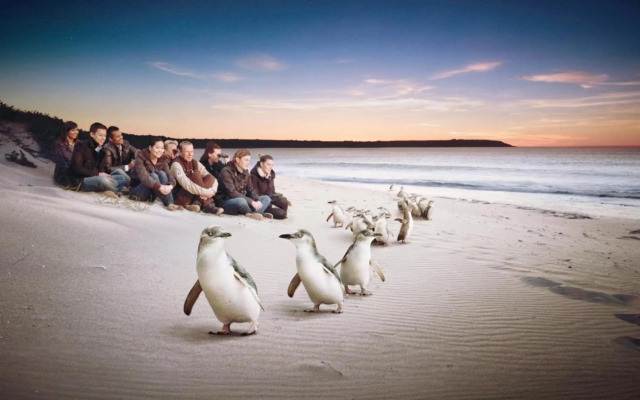 C-Scape water front apartment