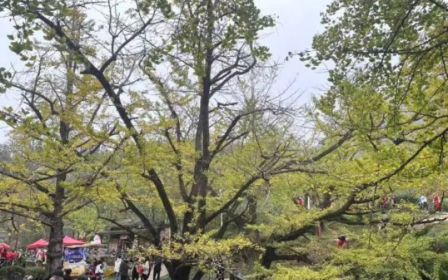 Panzhou Seven-color Hotel