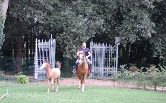 I Mori Gelsi - Fattoria Spinola