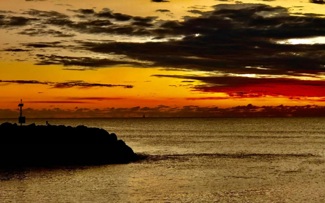 Brunswick Heads Treetop Studio