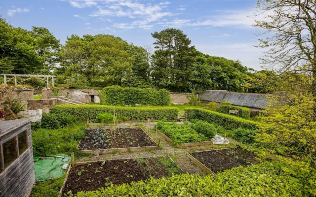 Little Redlap - Delightful Views Near Dartmouth