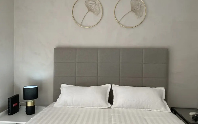 Ycp-studio613 in S o Paulo