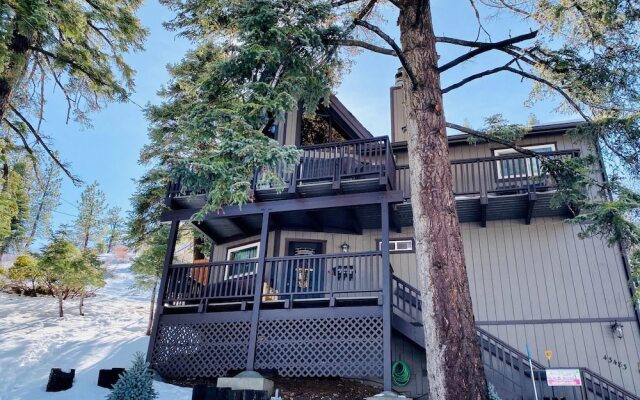 Moonridge Treetop Retreat