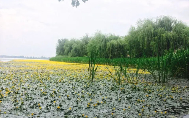 Luojiaodian Inn