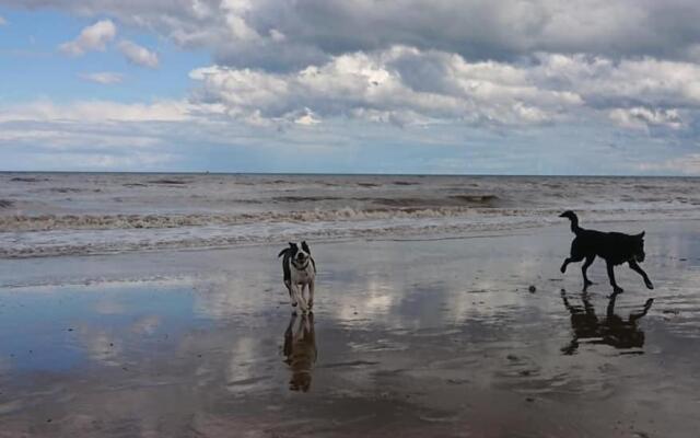 The Sun Trap @ Bridlington's Bed & Bowl Beach Breaks