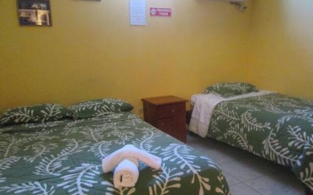 Hostal Leon Dormido