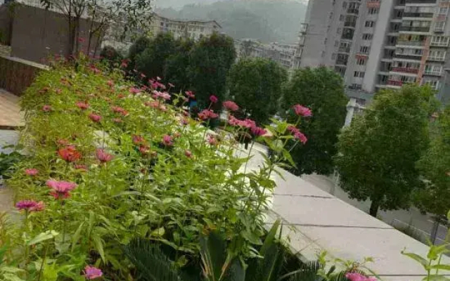 Daozhen Haoting Hotel
