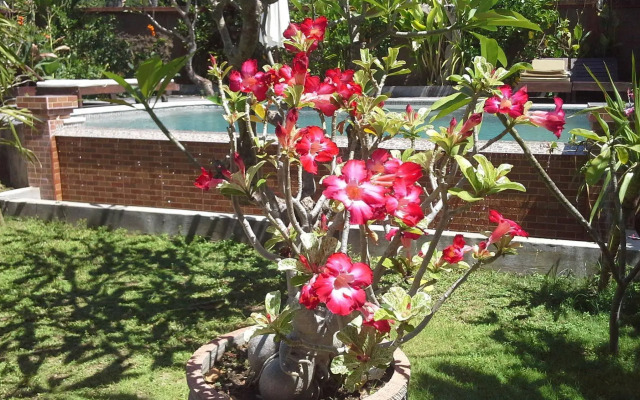 Bali Citra Lestari Cottages