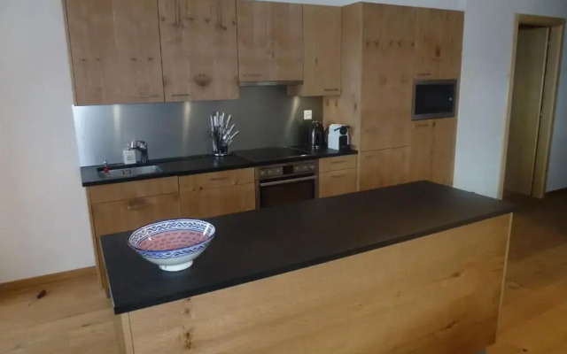 Ski in Ski out LUXURY & MOUNTAIN apartments by Alpvision Résidences