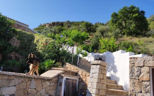 casa l'Ulivariu bed & breakfast