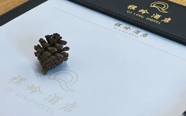 Qiling Ln Dongfang Hotel