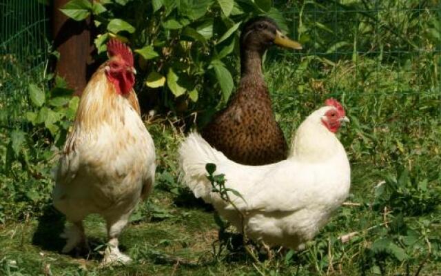 Gîtes du Vieux Presbytère