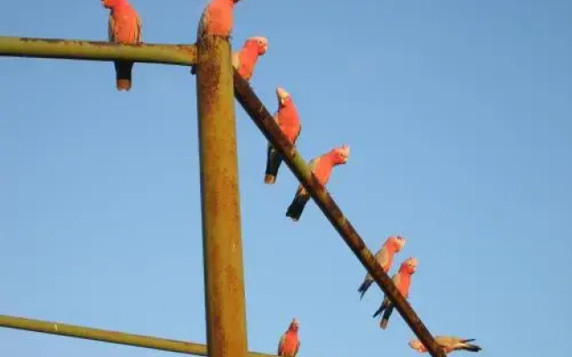 Ningaloo Bed and Breakfast