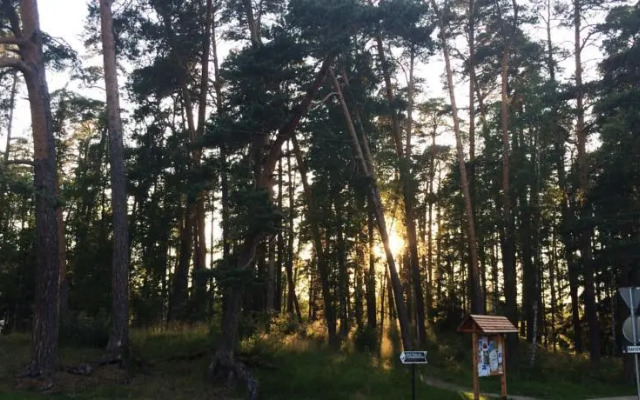 Võsu Pagariäri