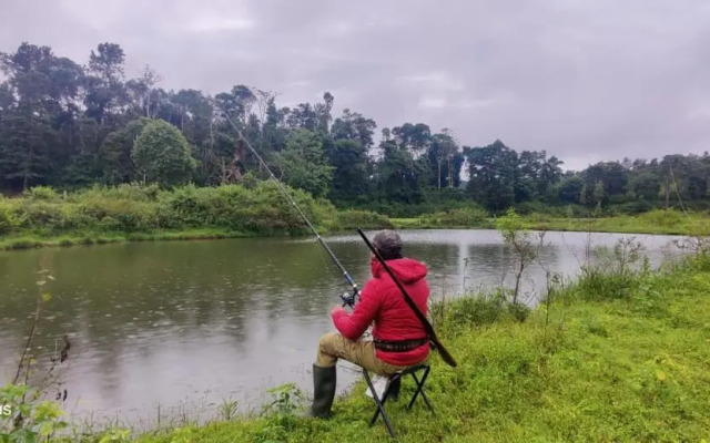 The Coffee Castle Villa