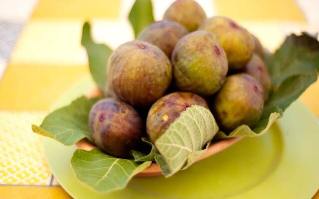 Beachside Getaway w/ Garden