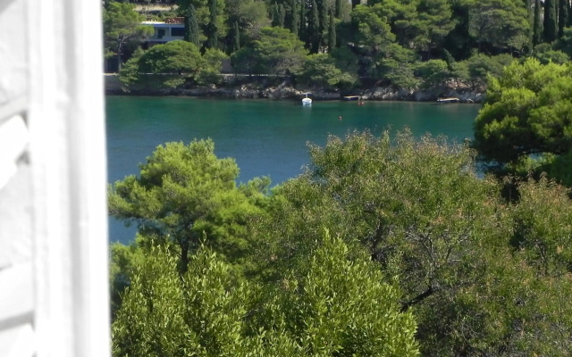 Villa By The Sea Near Dubrovnik